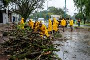 El temporal dejó caída de árboles y daños en el cableado en la Capital tras más de 130 mm de lluvia