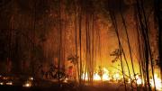 El calentamiento global de hace 56 millones de años provocó incendios masivos y erosión, revela nuevo estudio