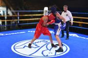 Alto Hospicio Tendrá Este Viernes Su Primera Velada De Boxeo Del Año 2026