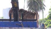 Extraen unas 25 palmeras de bulevar Artigas, piden “un poco de paciencia” a vecinos y explican olor que se genera