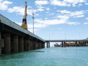 Se triplicó la cantidad de especies exóticas en Puerto Madryn y superó al puerto de San Antonio Este