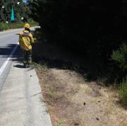 El Parque Nacional Nahuel Huapi denunció incendios intencionales sobre la vera de la Ruta 40