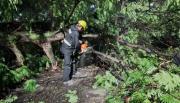 Árboles caídos, postes en riesgo y desagües tapados