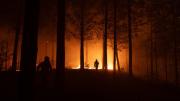 Uruguay expresó solidaridad con Chile por los incendios forestales que dejaron al menos 20 muertos