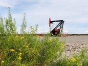 El convencional en oferta: febrero llega con una seguidilla de licitaciones petroleras