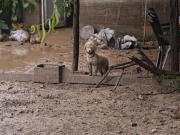 Cuando el río entra a la casa: el otro lado de la crecida que golpeó a García Fernández