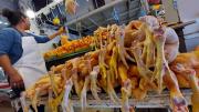 El sector avícola en alerta por precios bajos y falta de GLP