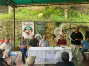 Asociación de Productores en Zea impulsa segunda etapa de Cambur Pintón: delicioso, orgánico, nutritivo y de excelente calidad