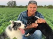 Cruzó la ruta para levantar un valijón que había perdido una familia y murió atropellado