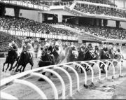 Los astros en el formulario: El día que el horóscopo dictó los números del 5y6 nacional