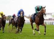 Calandagan nombrado el mejor caballo de carreras del mundo en 2025