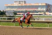 Parx Racing y Mahoning Valley sufren los embates del clima y no correrán este martes