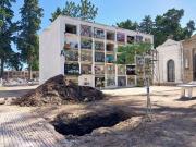 Aclaran caso de huesos hallados bajo árbol plantado en homenaje a víctima de dictadura