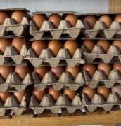 Medio cartón de huevos a $2.90/Bs.1.000 en la Feria Agrícola