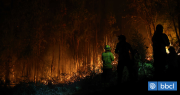 Conaf: 30 incendios forestales siguen en combate en O’Higgins, Maule, Ñuble, Bío Bío y La Araucanía