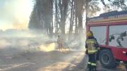 Linares: nuevos llamados de incendio de pastizales movilizaron a Bomberos