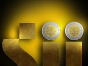 SII anuncia medidas de alivio tributario para afectados por incendios forestales