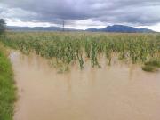 Inundaciones en Capinota dejan cultivos y viviendas afectadas
