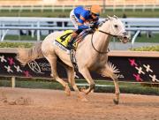 ¡La maquina al ataque! Irad Ortiz Jr. con agenda llena para el sábado de la Pegasus World Cup