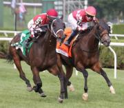 La finalista al premio Eclipse: Nitrogen inicia su preparación luego de ganar cinco stakes de grado en 2025