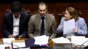 Reajuste al sector público: Senado volvió a tumbar la norma de amarre