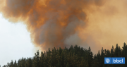 Dos detenidos y hallazgos de combustible marcan jornada de incendios en la región del Bío Bío