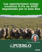 Las exportaciones ovinas crecieron 9,4% en 2025 impulsadas por la lana fina ‣ Martin Ferreira Pinto