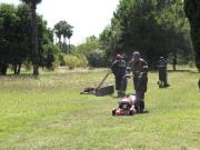 Espacios Verdes incorporó nueva maquinaria para reforzar el mantenimiento de la ciudad