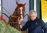 Sangre zuliana presente en el Pegasus World Cup Day