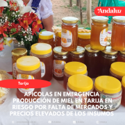 Producción de miel en Tarija en riesgo por falta de mercados y precios elevados de los insumos