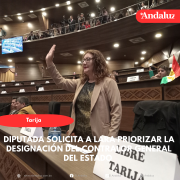 Diputada solicita a Lara priorizar la designación del Contralor General del Estado