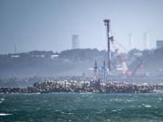 Japón reinicia la central nuclear más grande del mundo desde el desastre de Fukushima