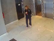 La viuda negra que dejó los dedos marcados: una huella dactilar permitió identificarla y fue detenida en Villa Urquiza