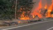 Cortaron una ruta en el sur de Chile por los incendios forestales: hallaron bidones con combustible
