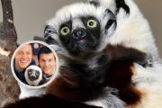 Justo en la infancia: ¡Nació el bisnieto de Zoboomafoo!