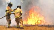 Gobierno confirma nuevo fallecido por incendios forestales y aumentan a 21 las víctimas fatales
