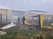 Destruyen 20 viveros de marihuana en Potosí, se afectó al narcotráfico en más de $10 millones