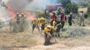CONAF ha extinguido y controlado 135 incendios forestales a nivel nacional