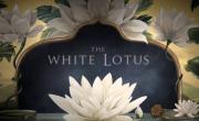 Fecha de cuándo se estrena The White Lotus, temporada 4 en HBO Max