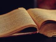 “Ya tenés todo lo que necesitás”: la frase de Pema Chödrön para bajar un cambio