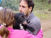 Encontraron a Boro, el perro perdido tras el accidente de trenes en España