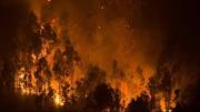 Incendios en Chile: Detienen a un sospechoso mientras aumentan a 21 los muertos