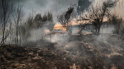 Ya son 21 los muertos por los incendios en Chile y más de 800 casas quedaron destruidas