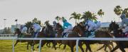 Pronósticos Gulfstream Park: picks gratis y el dato clave para el jueves 22 de enero