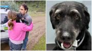 Tierno reencuentro: Hallaron a Boro, el perrito que se viralizó tras perderse en la tragedia ferroviaria en Adamuz