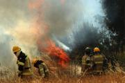 Incendios en Chile: Hay familias que no quisieron dejar sus hogares, el relato de Bomberos que asisten a la catástrofe