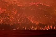 Incendios en la Patagonia: Bariloche envió refuerzos para combatir el fuego en Puerto Patriada