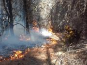 Chubut: se reactivaron varios focos en el Parque Nacional Los Alerces