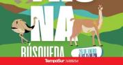 Participa en la búsqueda del Tesoro en la Costanera de Río Gallegos