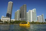 Miami Beach apuesta por el agua: así es el nuevo taxi acuático que desafía al tráfico